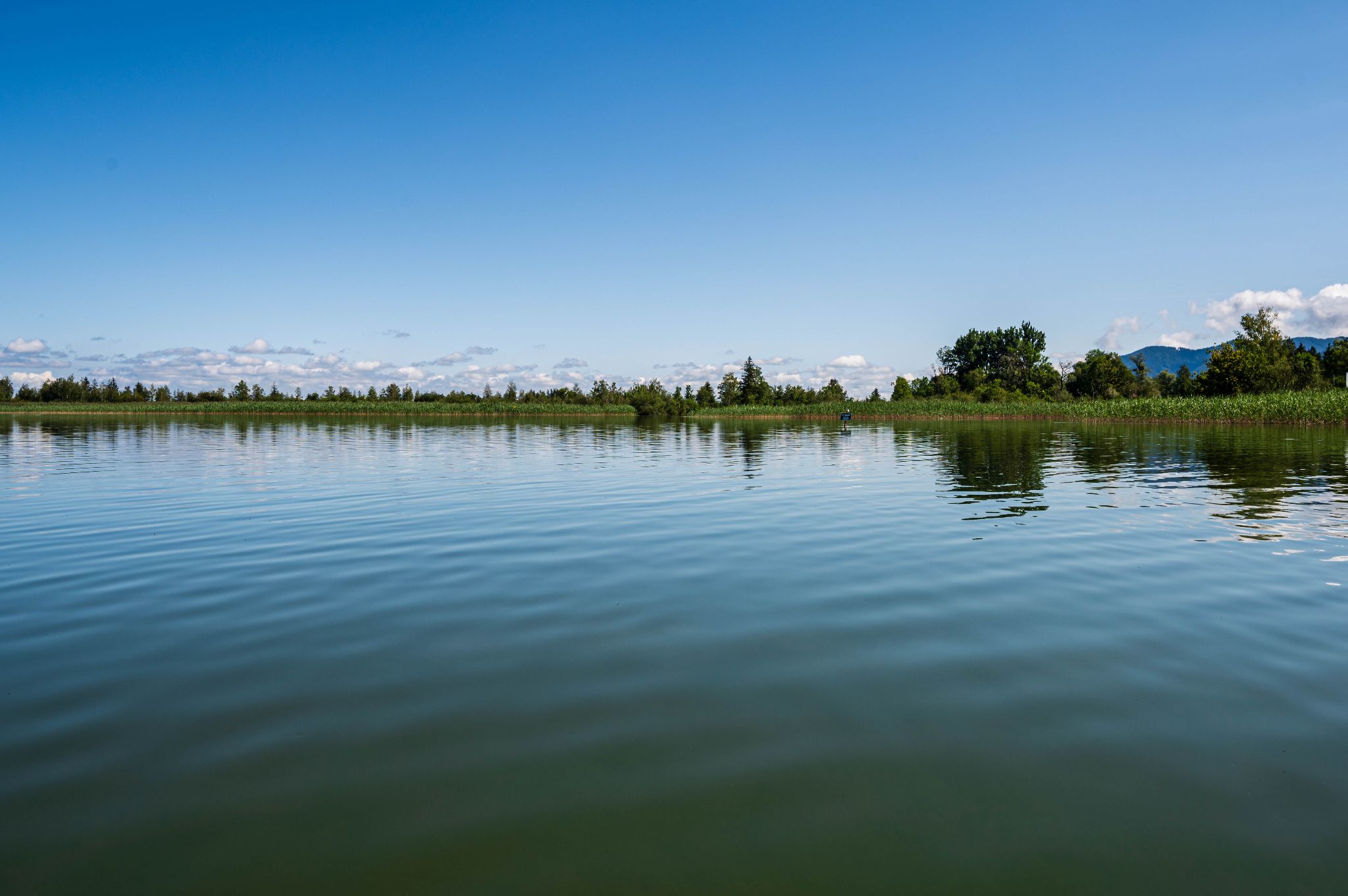 Kajaktour Kochelsee 15.07.2024